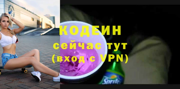 гашик Осинники