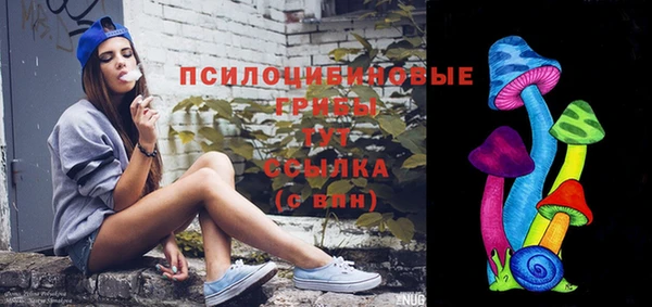 индика Остров