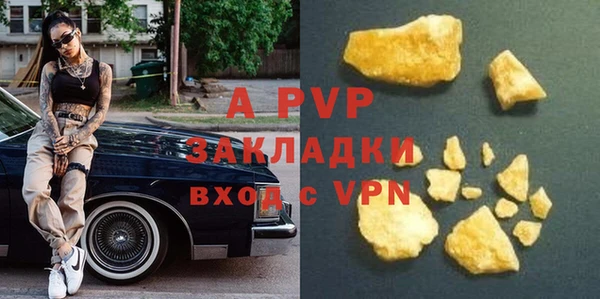 гашик Осинники